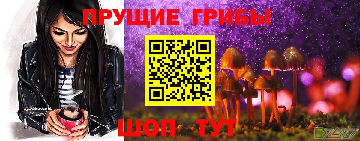наркотики  Вход с VPN  Славянск-на-Кубани  Псилоцибиновые грибы Psilocybe 